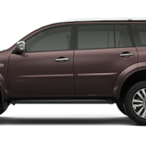 Mitsubishi PNG