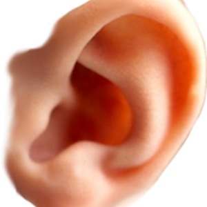 Ear PNG
