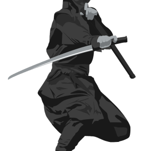 Ninja PNG