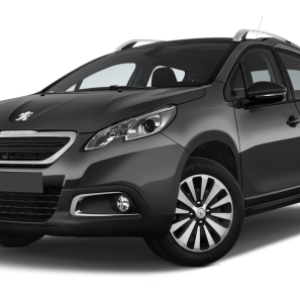 Peugeot PNG
