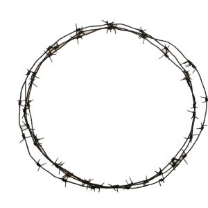 Barbwire PNG