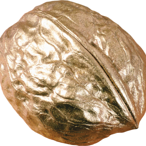 Walnut PNG