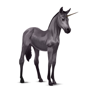 Unicorn PNG