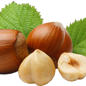 hazelnut PNG
