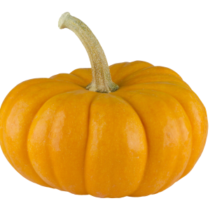 Pumpkin PNG