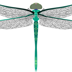 Dragonfly PNG