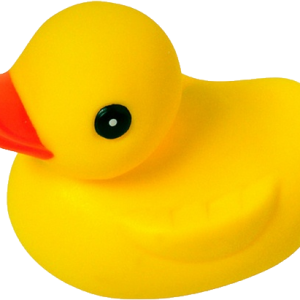 Rubber duck PNG