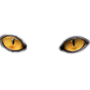 Eyes PNG image
