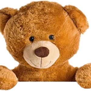 Teddy bear PNG