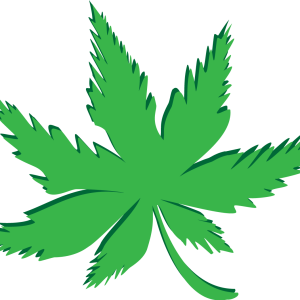 Cannabis PNG