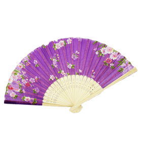 Hand fan PNG