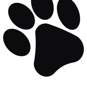 Paw PNG