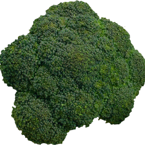 Broccoli PNG