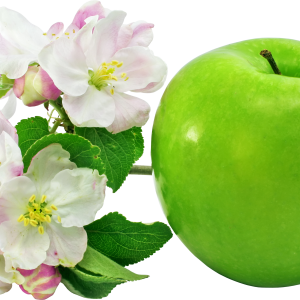 apple with flowers PNG