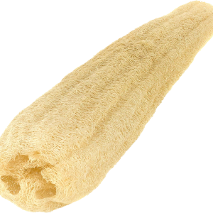 Sponge bath PNG