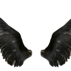 Wings PNG