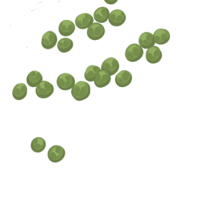 Pea PNG