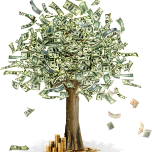 Money tree PNG image