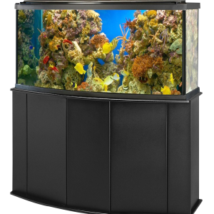 Aquarium PNG