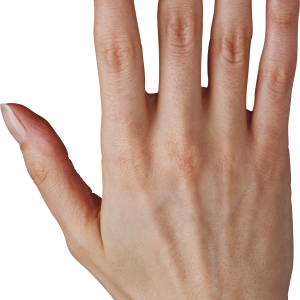 hand PNG