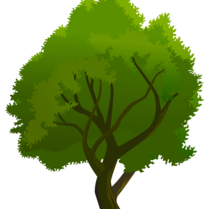 tree PNG
