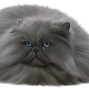 Cat fur PNG