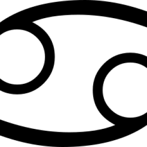 Pisces PNG