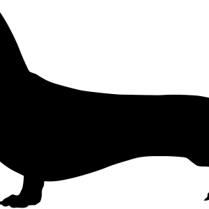 Dachshund PNG