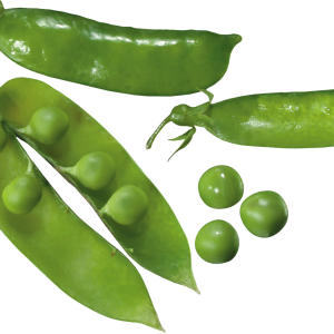 Pea PNG