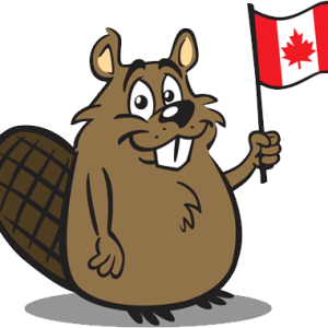 Beaver PNG