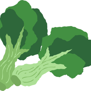 Broccoli PNG
