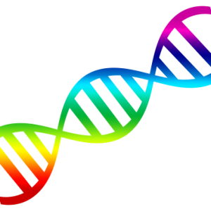 DNA PNG