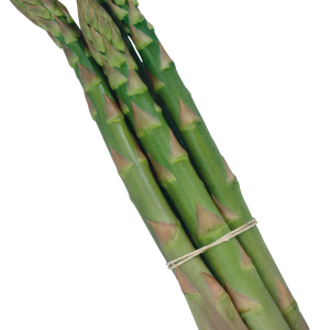 Asparagus PNG