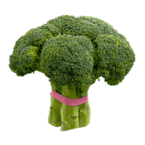 Broccoli PNG