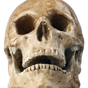 Skull PNG
