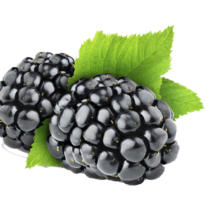 Blackberry PNG
