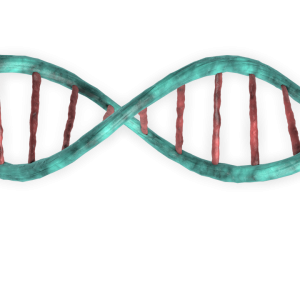 DNA PNG