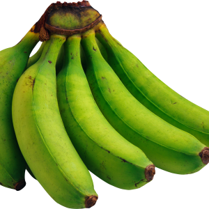 green bananas PNG image, free picture