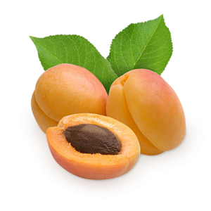 Apricot PNG