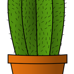 Cactus PNG image