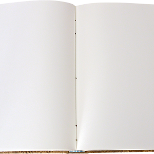 Book PNG