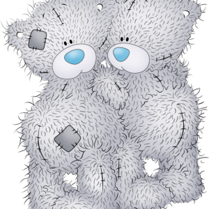 Teddy bear PNG