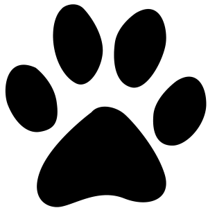 Paw PNG