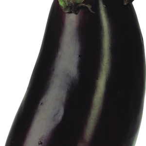 Eggplant PNG images free download