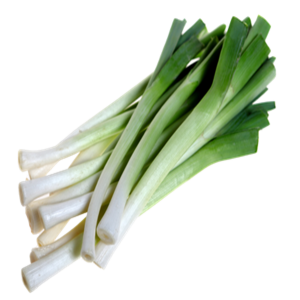 Leek PNG
