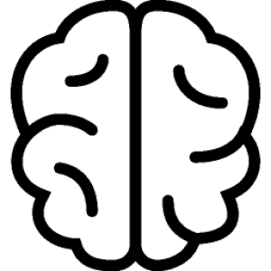 Brain PNG