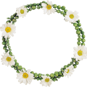 Floral frame PNG