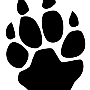 Paw PNG