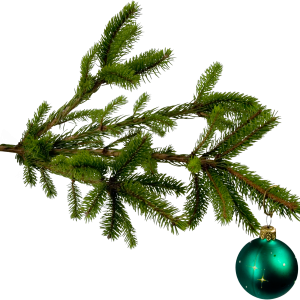 Christmas PNG image