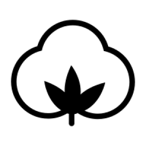Cotton PNG